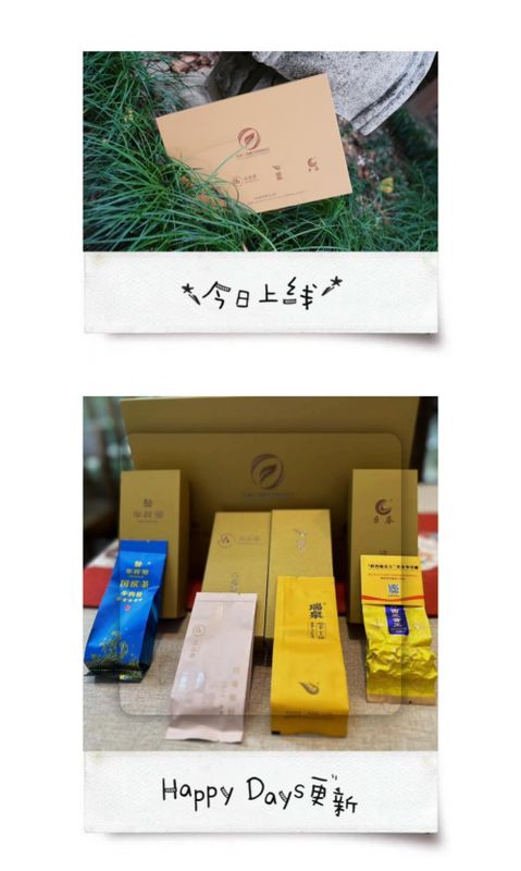 福茶產業(yè)融合發(fā)展論壇在福州舉行 曹德旺期望有更多老百姓也能喝得起好茶