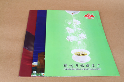 宣傳品設(shè)計-宣傳畫冊 產(chǎn)品畫冊 企業(yè)畫冊 A416P 500本 公司畫冊 宣傳冊.